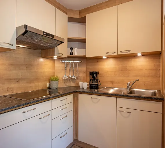 Moderne Einbauküche mit Holzverkleidung, Spüle, Cerankochfeld und Hängeschränken.