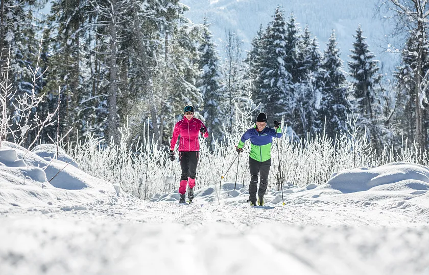 Zwei Personen beim Langlaufen auf einem verschneiten Weg in einer winterlichen Waldlandschaft mit Tannenbäumen.