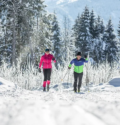 Zwei Personen beim Langlaufen auf einem verschneiten Weg in einer winterlichen Waldlandschaft mit Tannenbäumen.